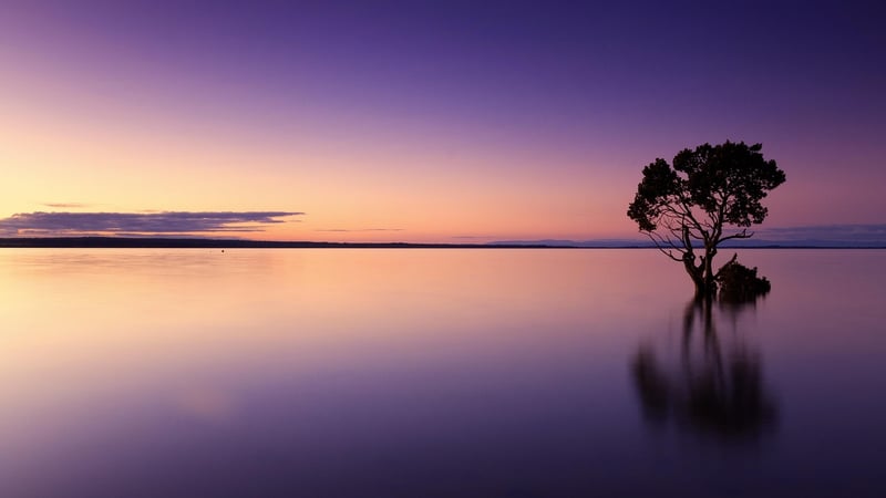 Sunset Meditation Image